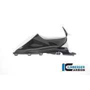 [ILMBERGER CARBON] BMW S1000RR 19- / M1000RR 21-22 / 카본 배지 홀더 - RIGHT / CG.VER.016.S119S