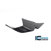 [ILMBERGER CARBON] BMW S1000RR 23- / 카본 사이드 윙렛 레이싱 - RIGHT / VFR.002.S123S.K