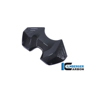 [ILMBERGER CARBON] DUCATI PANIGALE V4 / V4S 20~21 / 카본 어퍼 탱크 커버 / TAO.006.DPV4G.K