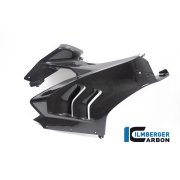 [ILMBERGER CARBON] DUCATI PANIGALE V4 / V4S 22~24 / 카본 페어링 사이드 패널 우측 / VER.005.V422G.K