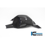 [ILMBERGER CARBON] DUCATI PANIGALE V4 / V4S 22~24 / 카본 스윙암 커버 / SSO.009.V422G.K