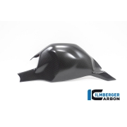 [ILMBERGER CARBON] DUCATI PANIGALE V4 / V4S 22~24 / 카본 무광 스윙암 커버 / SSO.109.V422M.K