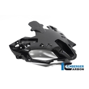 [ILMBERGER CARBON] BMW S1000XR 20-23 / S1000XR 24- / M1000XR 24- / 카본 에어 인테이크 (프론트 페어링 센터) / CG.VEO.030.1XR20