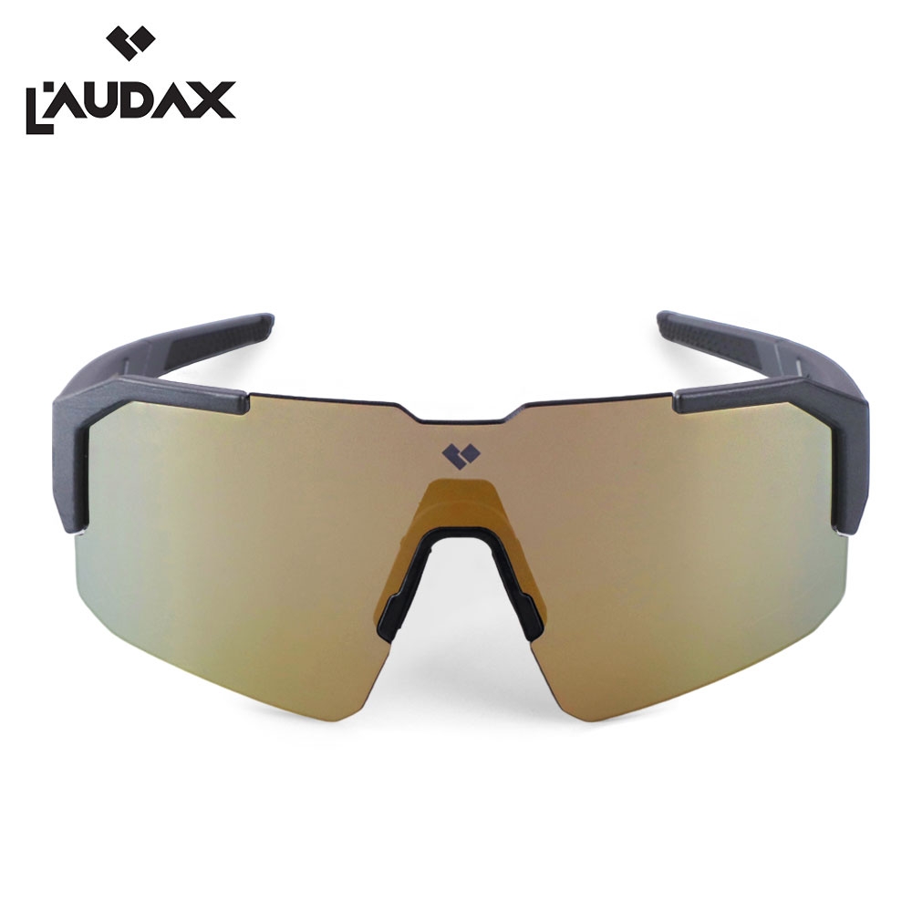 로닥스 브리즈 그레이-골드(Brushed Gray - Gold Lens)