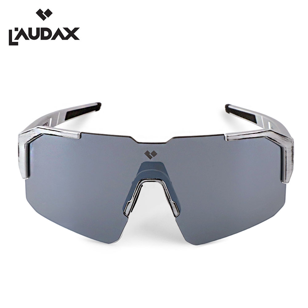 로닥스 브리즈 실버-실버(Brushed Silver - Silver Lens)