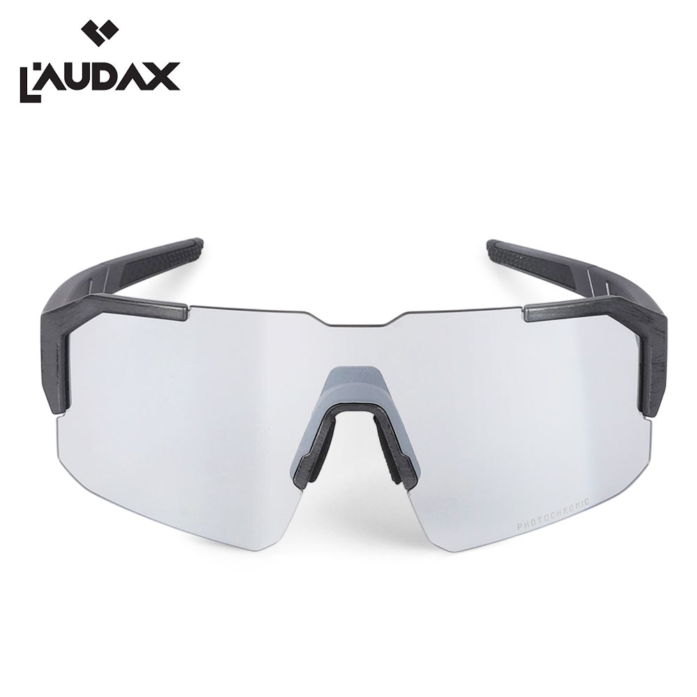 로닥스 브리즈 그레이-실버변색렌즈 (Brushed Gray-Silver Photochromic lens)