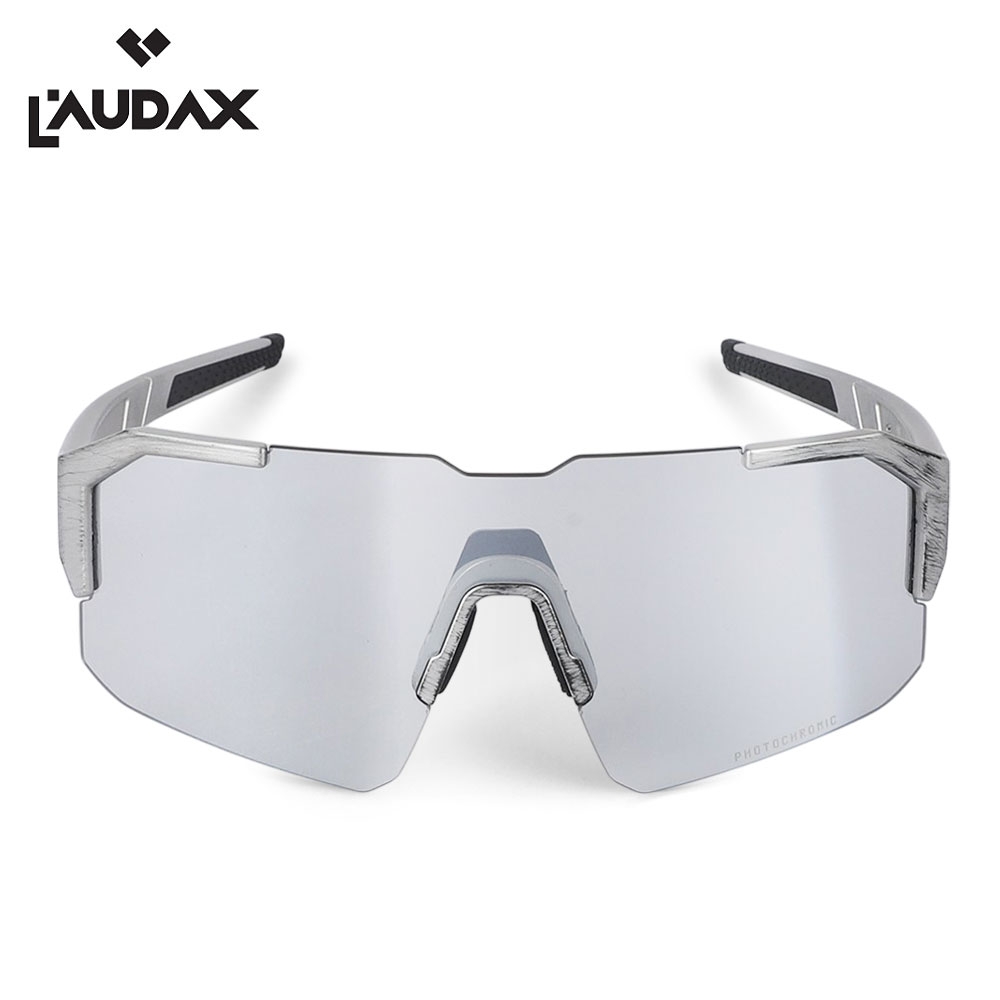 로닥스 브리즈 실버-실버변색렌즈 (Brushed Silver-Silver Photochromic lens)