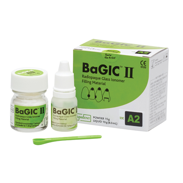 BaGICⅡ *옵션선택형