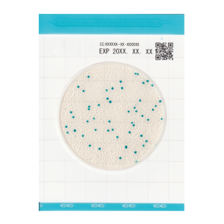 Easy Plate 대장균군(CC)