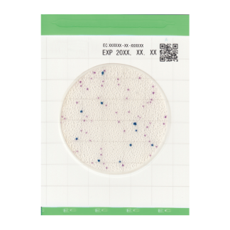 Easy Plate 대장균(EC)