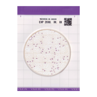 Easy Plate 속성효모곰팡이(YM-R)