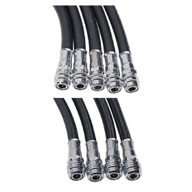 자이언트 비씨호스