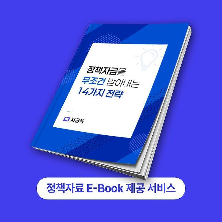 썸네일.jpeg^|^전자책_정책자금받아내는전략14가지 (1).pdf