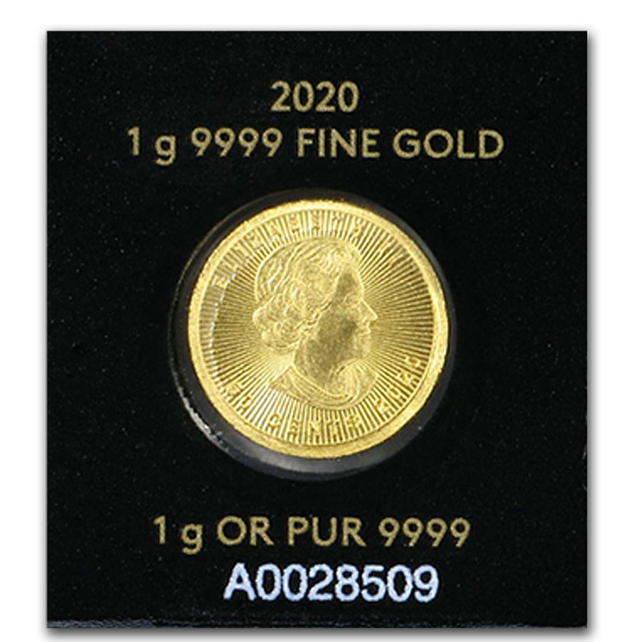 Random Year Maple Leafs 1 gram Gold coin from Maplegram25 (In Assay)