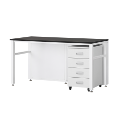 [EM-ST 1100 Series] 기본형 벽면실험대 / EUM (이동서랍 1ea)