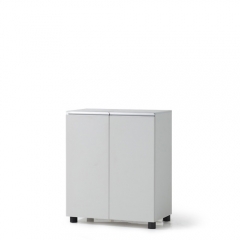 [LMW-5008] 목재 시약장 / EUM (800 x 450 x 955mm, 목재문)