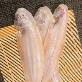 반건조 박대