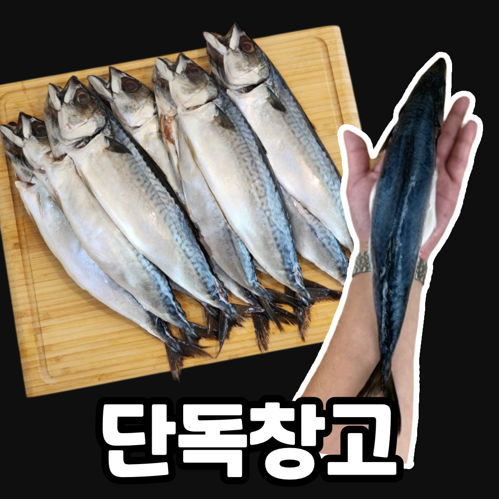 특대짜 안동 간 고등어 / 직접 배 갈르고 자반작업합니다.