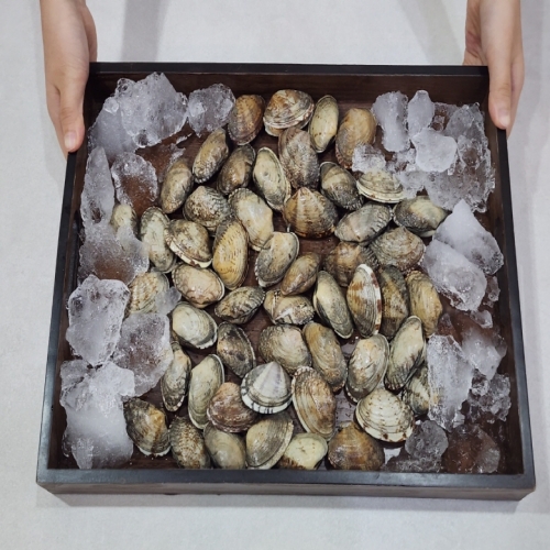 남해 탱글 참바지락 1kg / 쫄깃한 식감, 살밥 제대로 찬 참바지락! 남해 탱글 참바지락 1kg / 쫄깃한 식감, 살밥 제대로 찬 참바지락!