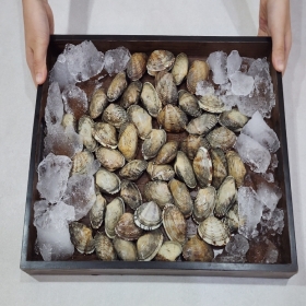 남해 탱글 참바지락 1kg / 쫄깃한 식감, 살밥 제대로 찬 참바지락!