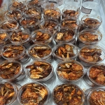 국내산 간장게장 , 양념게장  / 국내산 꽃게 만으로 맛있게 만들었습니다 !!
