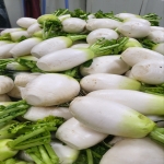 겨울 동치미 5kg (1통) /  밥과 함께 즐겨도 좋고 어디든 어울려 활용도가 높은 동치미!!