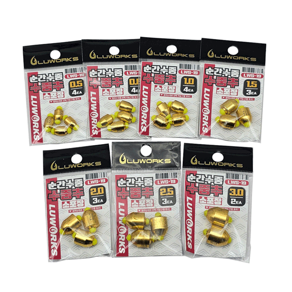 루웍스 LWS-19 순간수중 소포장 수중추