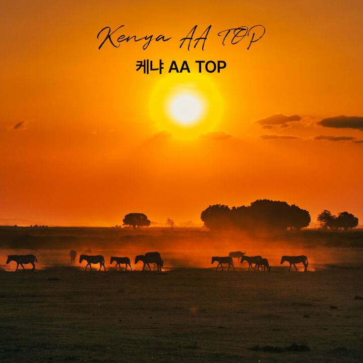 싱글오리진 케냐 AA TOP 원두