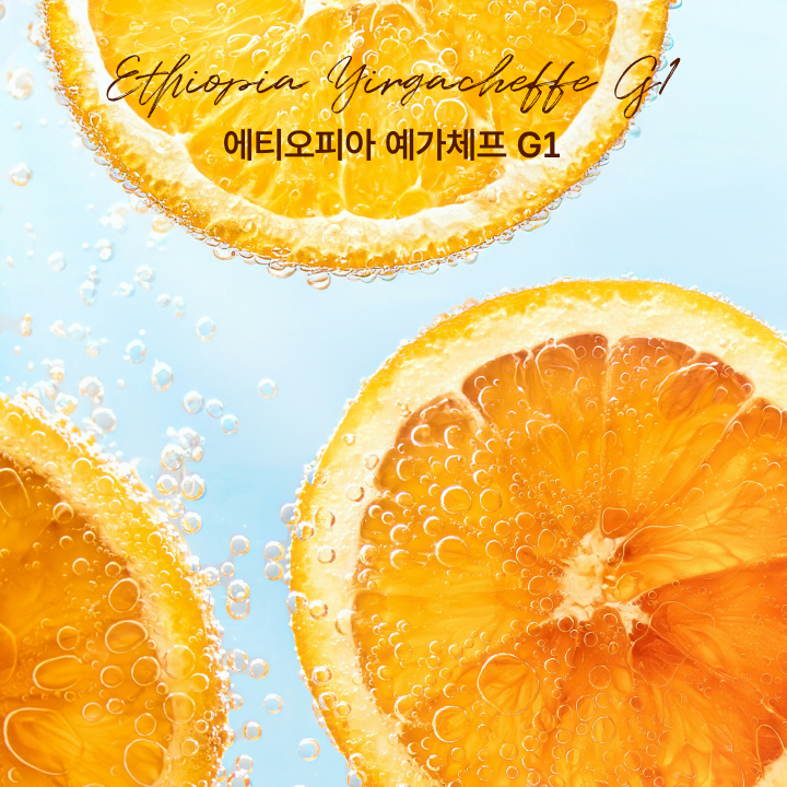 싱글오리진 에티오피아 예가체프 G1 원두