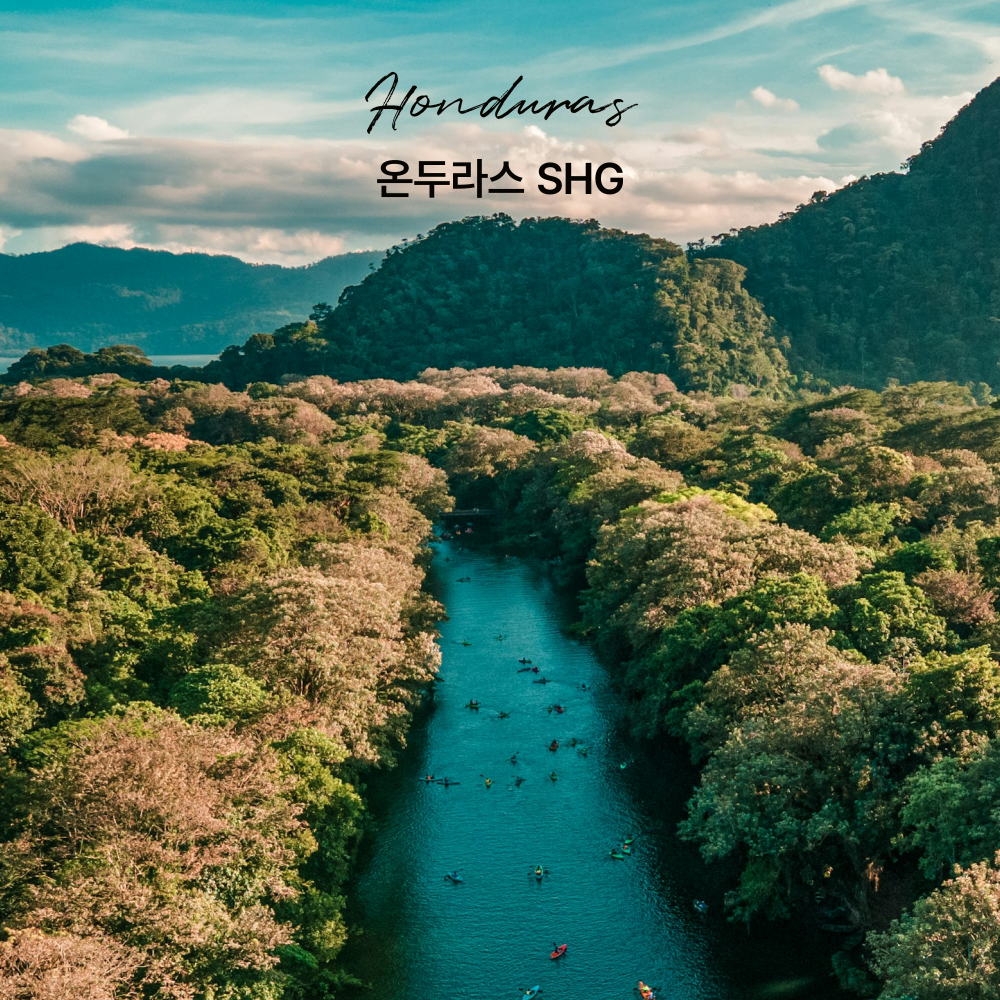 싱글오리진 온두라스 SHG 원두