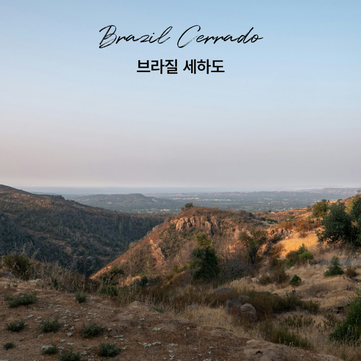 싱글오리진 브라질 세하도 원두