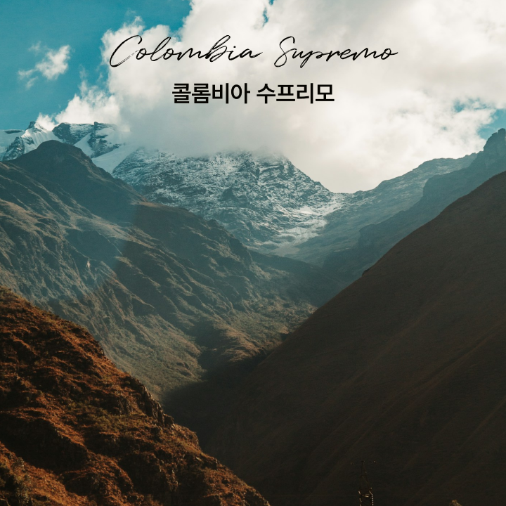 싱글오리진 콜롬비아 수프리모 원두