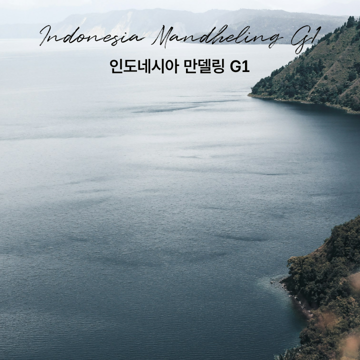 싱글오리진 인도네시아 만델링 G1 원두