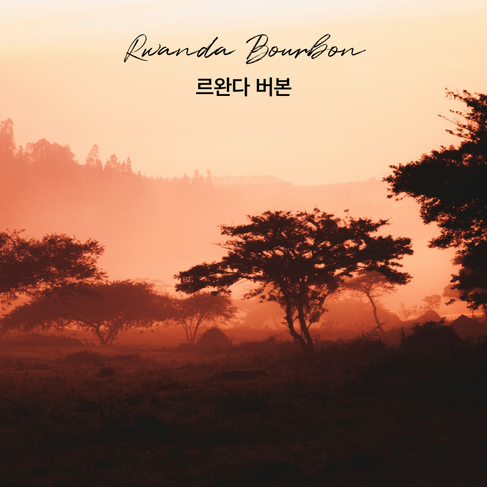 싱글오리진 르완다 버본 원두