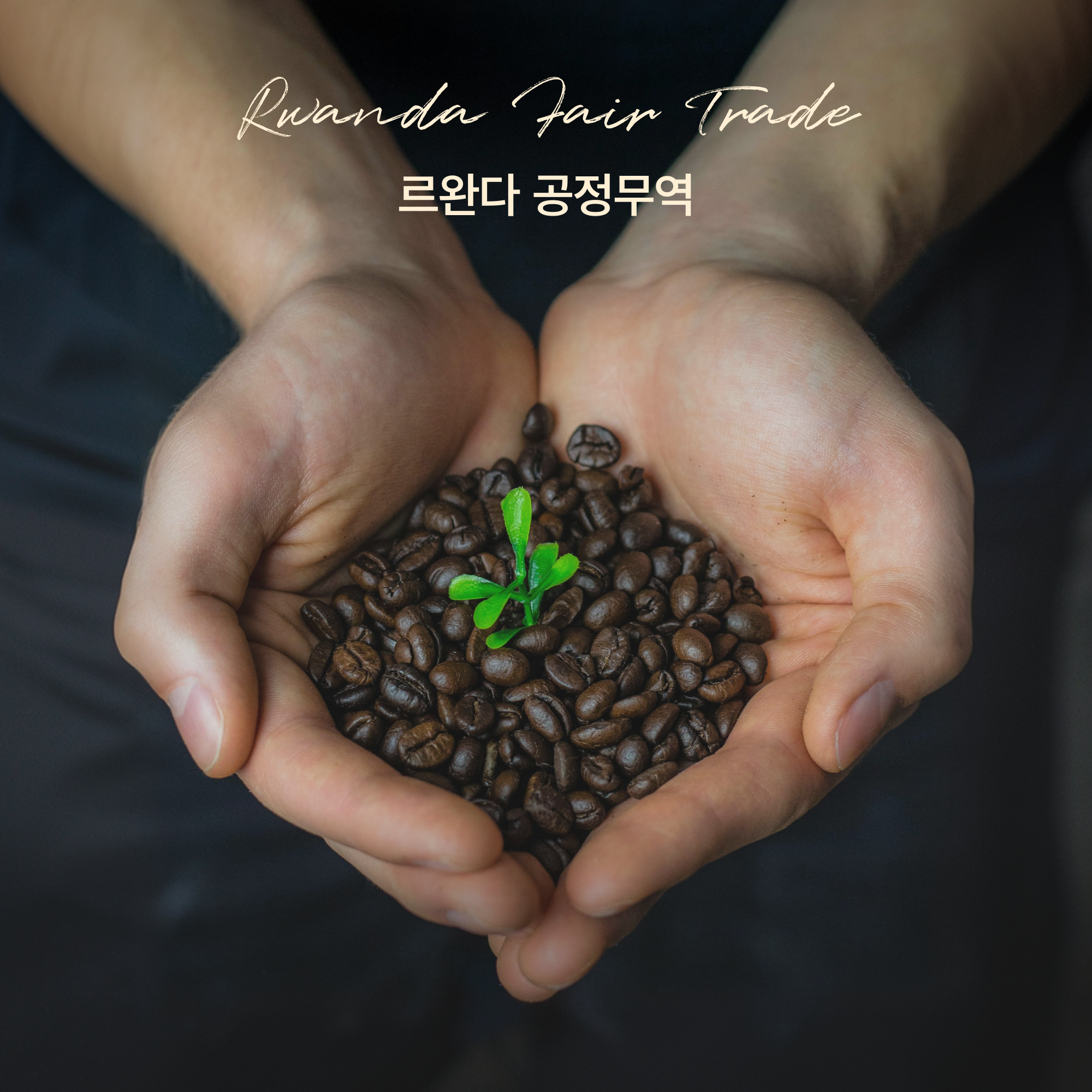 싱글오리진 르완다 공정무역 원두