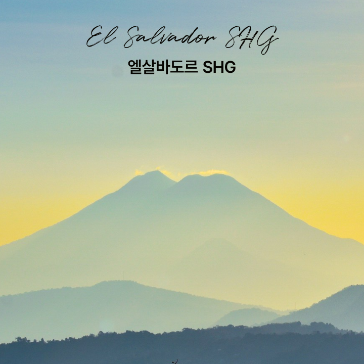 싱글오리진 엘살바도르 SHG 원두