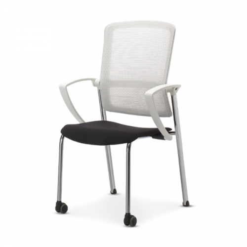 D-10 화이트(중) 회의용의자