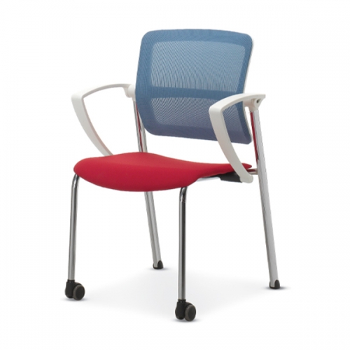 D-10 화이트(소) 회의용의자