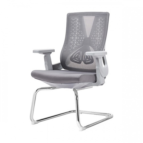 알리 그레이 메쉬 회의용의자