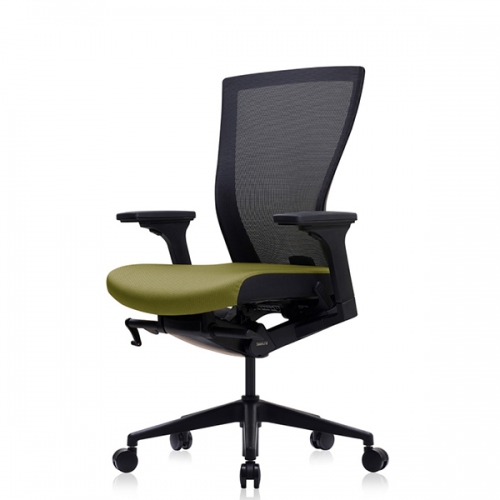 베스툴 레디우스 RAE110M 블랙 사무용 의자