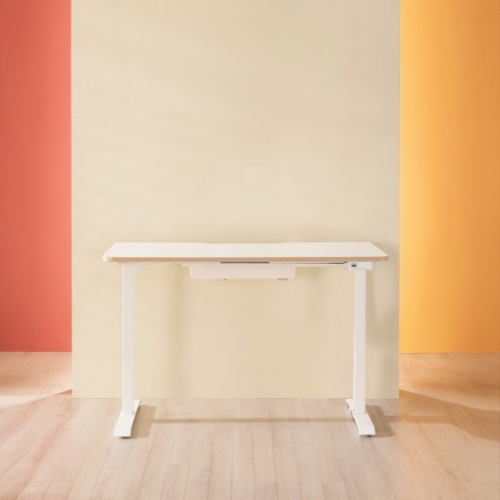 리바트 듀얼모터 모션데스크 프로