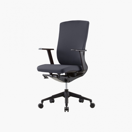 파트라 CFX12EP 플렉스에코 고정팔 미들 플라스틱 사무용 의자