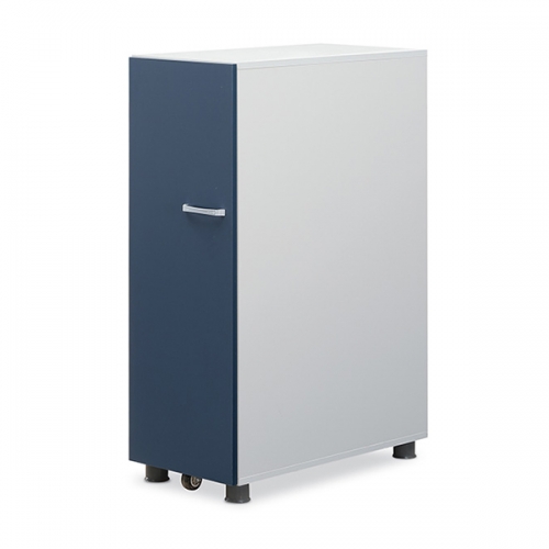 디셀 사이드 레일장