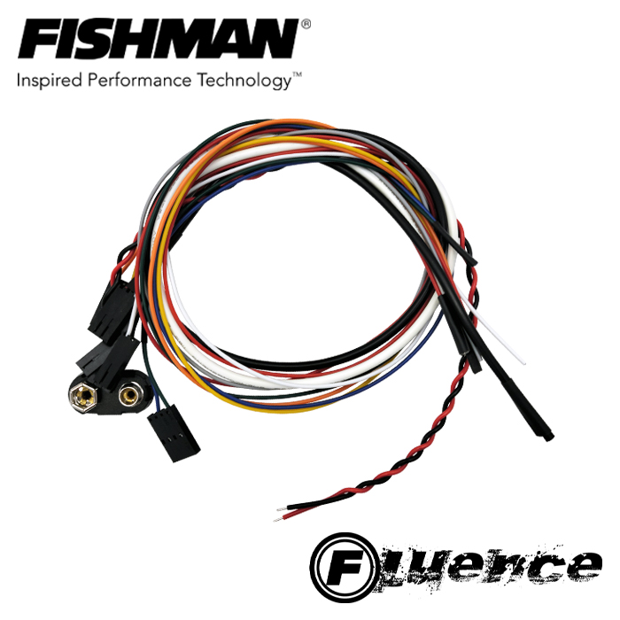프리버드 | [썸머락캉스 쿠폰] Fishman 피쉬맨 Fluence Humbucker Wiring Kit