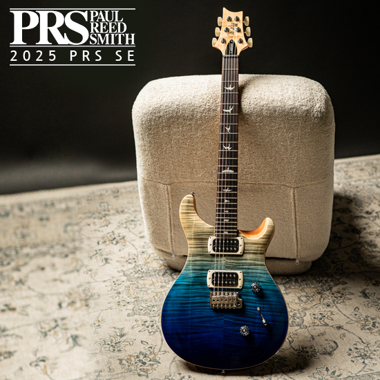 わ*め様 【希少モデル】PRS SE /SE Paul's Guitar Fir PRS SE Paul's Guitar | Turquoise – The Vibrato Bar