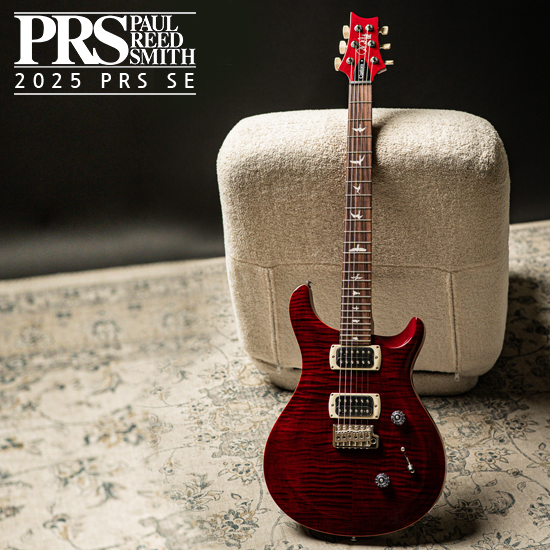PRS SE SE Custom 24 Limited Run Ver.2
