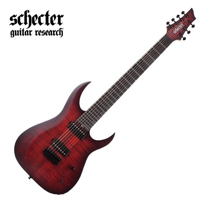 프리버드 | Schecter 일렉기타 SOLO-II CUSTOM GNAT/BLK