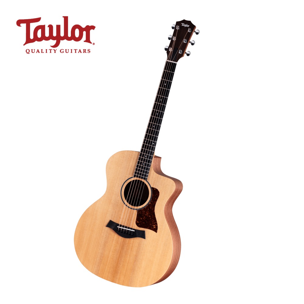 Taylor [세일페스타] 테일러 Taylor 어쿠스틱기타 14ce