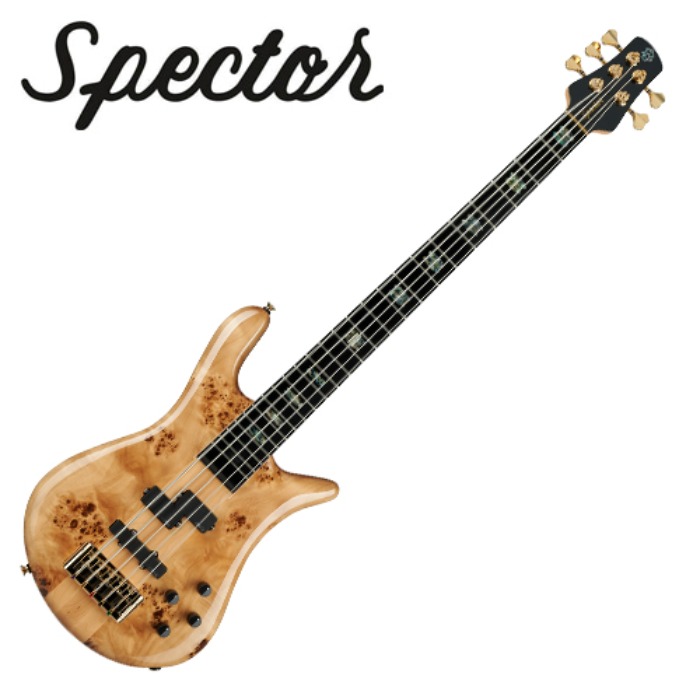 Spector 스펙터 2월 할인! Spector 스펙터 베이스 EURO CST 5 Natural Gloss (EURO5CSTNAT)