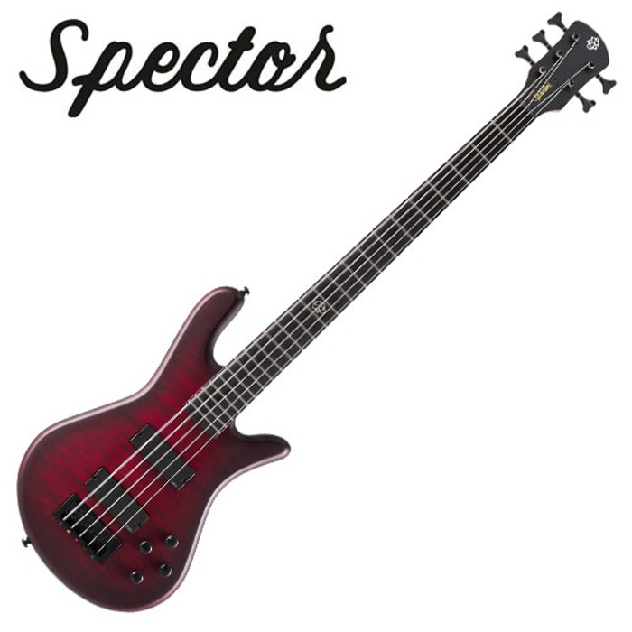 Spector [새학기세일] 본사매장 전시 할인! Spector 스펙터 베이스 NS PULSE II 5 Black Cherry Matte (NSPULSE5BCM)